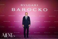 ���֮�� ��ʢ���� BVLGARI������Barocko�߼��鱦ϵ���ڱ����買���